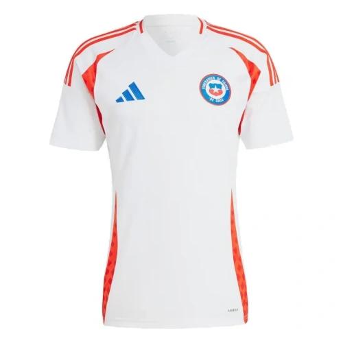 Chile 2024 Copa Alternativa