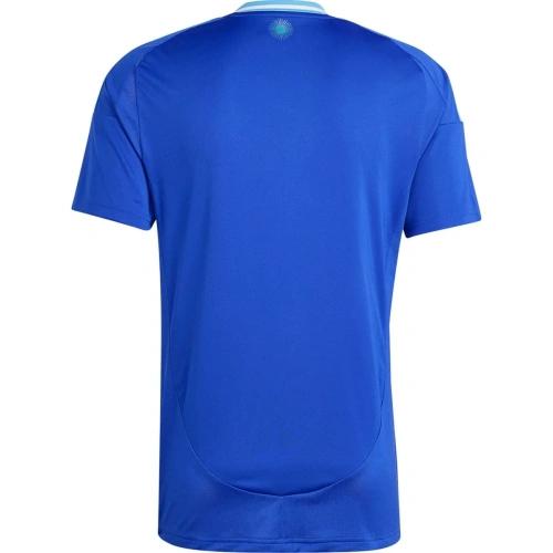 Argentina 2024 Copa Alternativa
