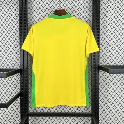 Brazil 2025 Local